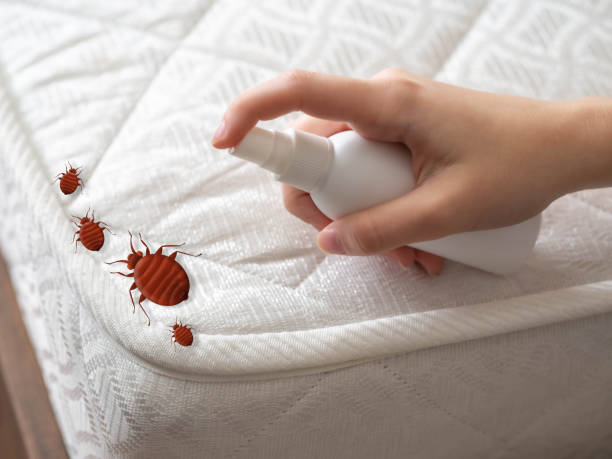 Best Cockroach Control Services  in Honaker, VA